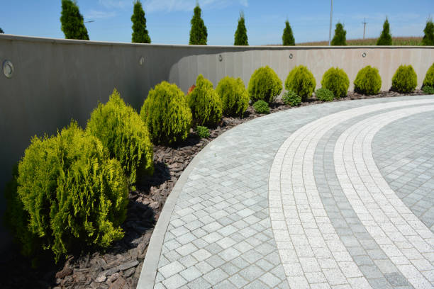 Reasons to Select Us for Your Driveway Paving Requirements in Dellwood, MN